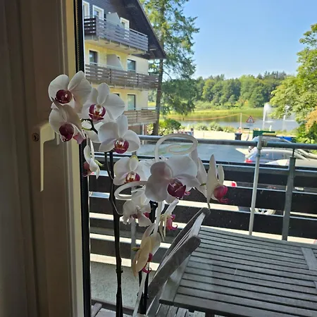 Hexreigen Am Apartmán Goslar