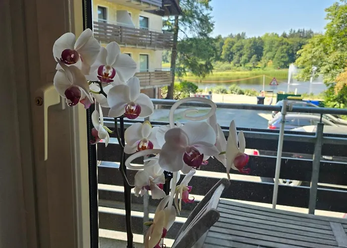 Hexreigen Am 公寓 戈斯拉尔